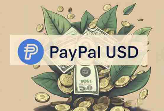 稳定币生息！PayPal与Anchorage合作推出PYUSD奖励计划